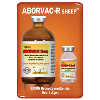 Aborvac R Sheep ((Brucella melitensis Rev1, injection Vaccine)