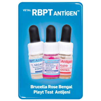 RBPT Antigen 